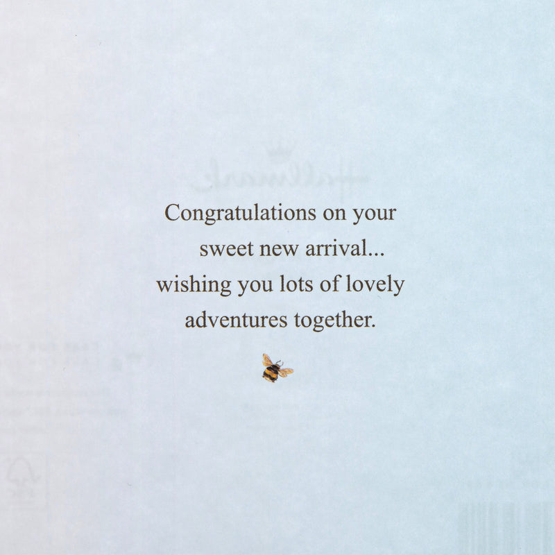 New Baby Boy Card - Beatrix Potter Peter Rabbit™ Design