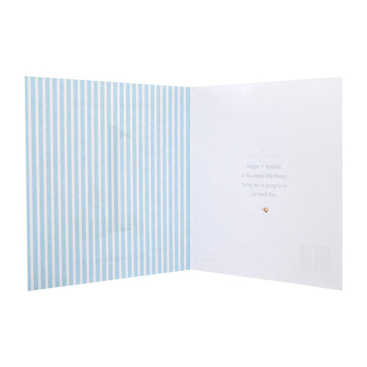 1st Birthday Card for Little Boy - Beatrix Potter's Peter Rabbit™ Design