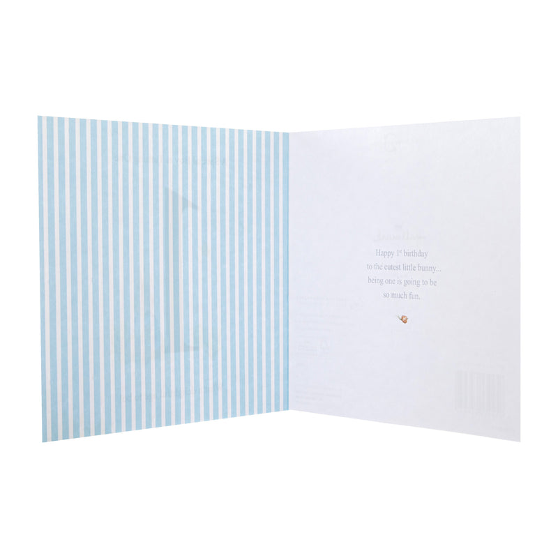 1st Birthday Card for Little Boy - Beatrix Potter's Peter Rabbit™ Design