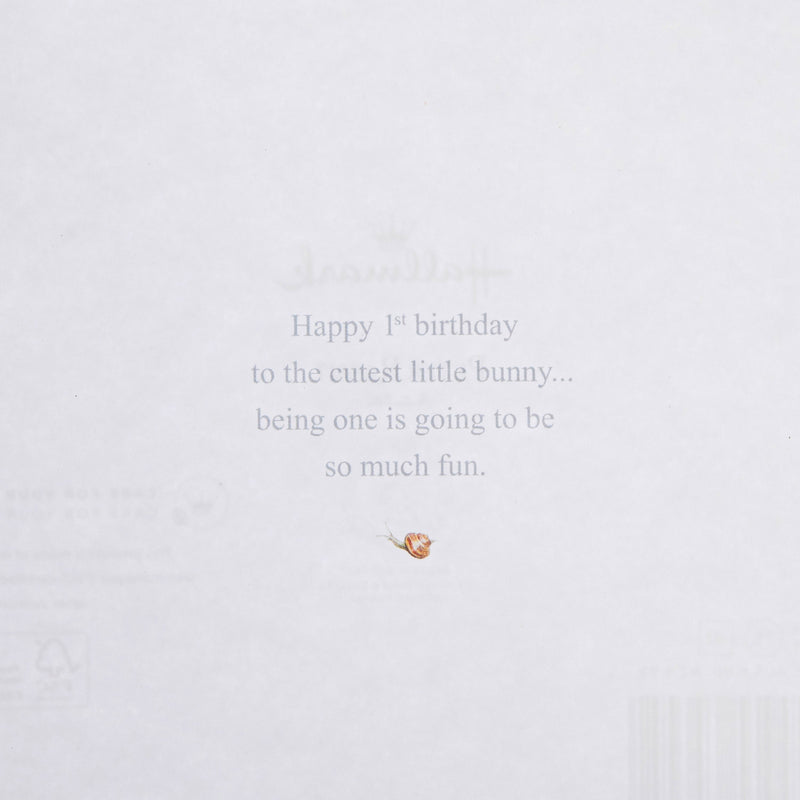 1st Birthday Card for Little Boy - Beatrix Potter's Peter Rabbit™ Design