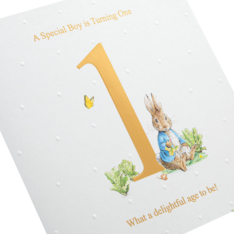 1st Birthday Card for Little Boy - Beatrix Potter's Peter Rabbit™ Design