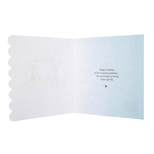 Birthday Card for Grandson - Beatrix Potter Peter Rabbit™ Design
