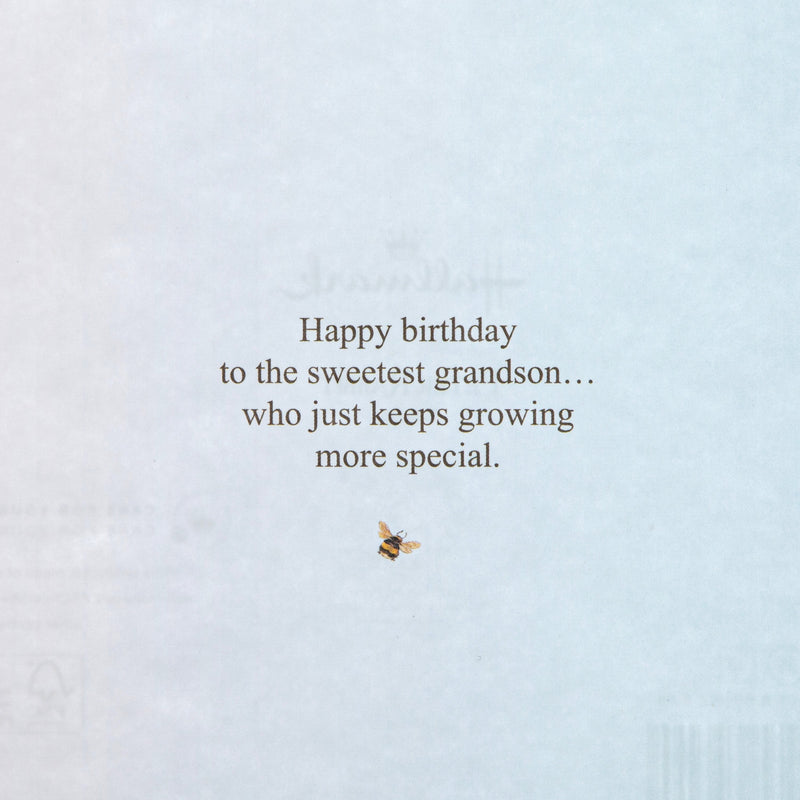 Birthday Card for Grandson - Beatrix Potter Peter Rabbit™ Design