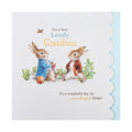Birthday Card for Grandson - Beatrix Potter Peter Rabbit™ Design