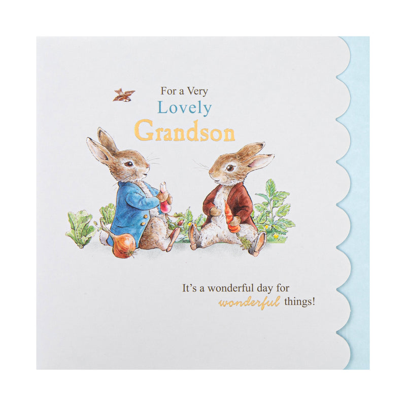 Birthday Card for Grandson - Beatrix Potter Peter Rabbit™ Design