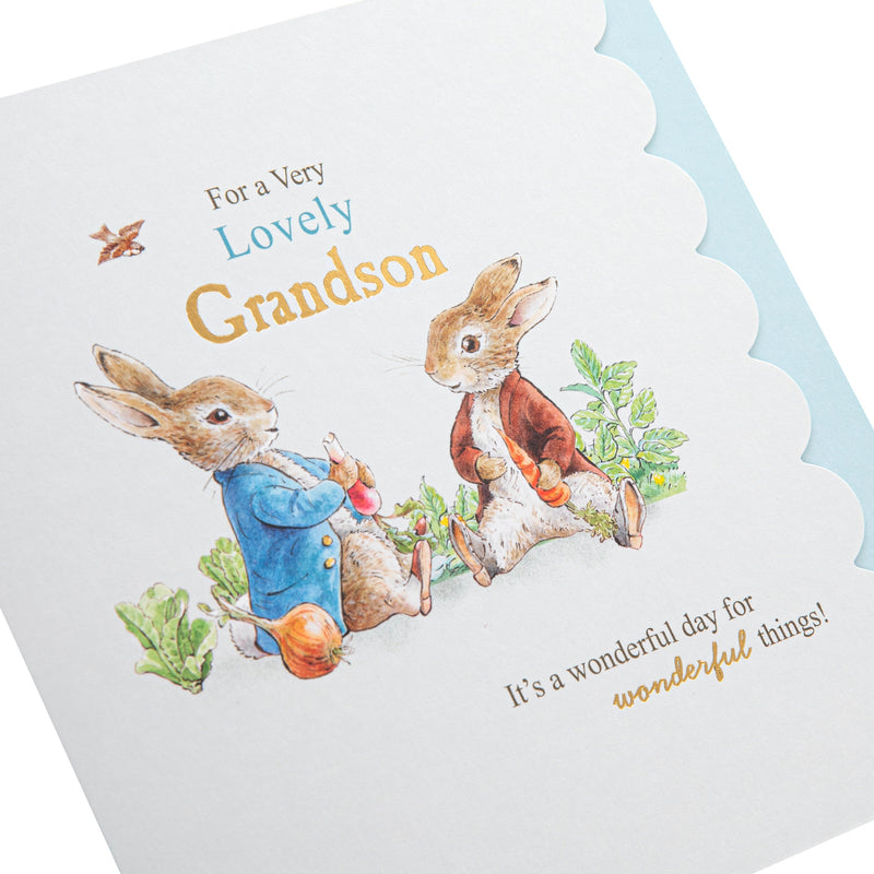 Birthday Card for Grandson - Beatrix Potter Peter Rabbit™ Design