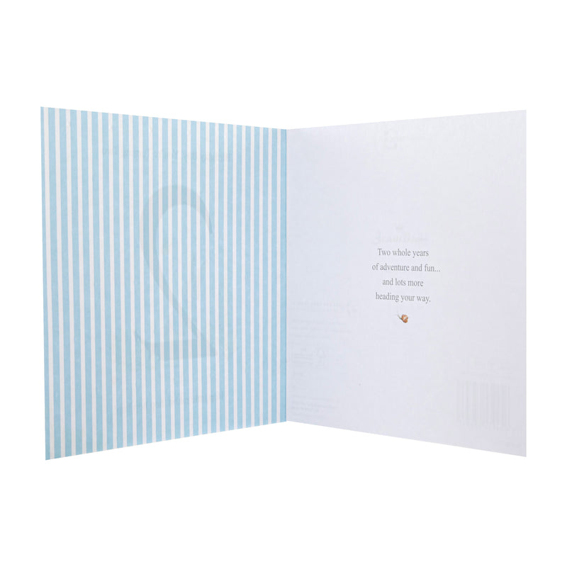 2nd Birthday Card for Little Boy - Beatrix Potter's Peter Rabbit™ Design