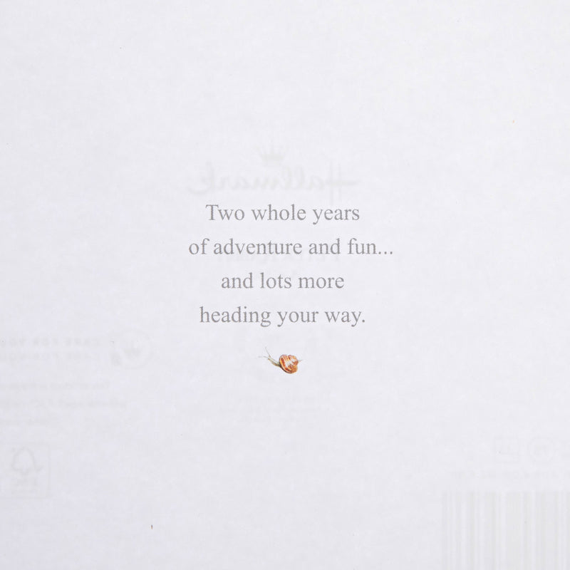 2nd Birthday Card for Little Boy - Beatrix Potter's Peter Rabbit™ Design
