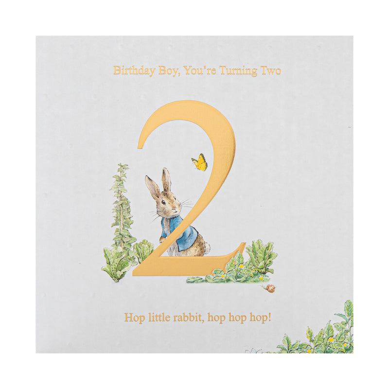 2nd Birthday Card for Little Boy - Beatrix Potter's Peter Rabbit™ Design