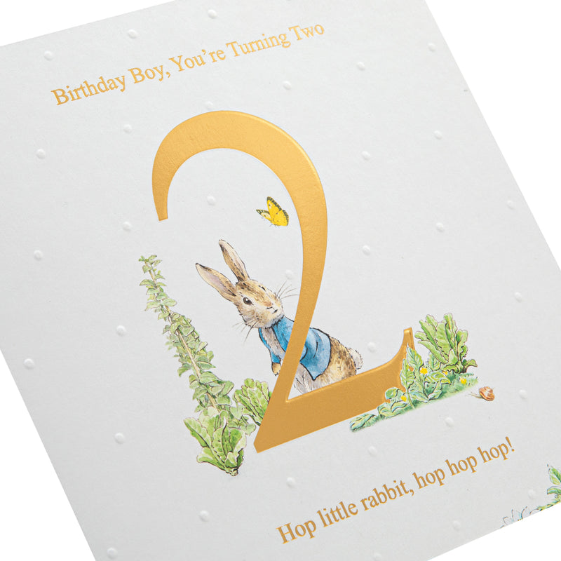 2nd Birthday Card for Little Boy - Beatrix Potter's Peter Rabbit™ Design