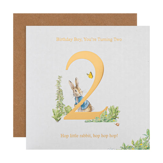 2nd Birthday Card for Little Boy - Beatrix Potter's Peter Rabbit™ Design