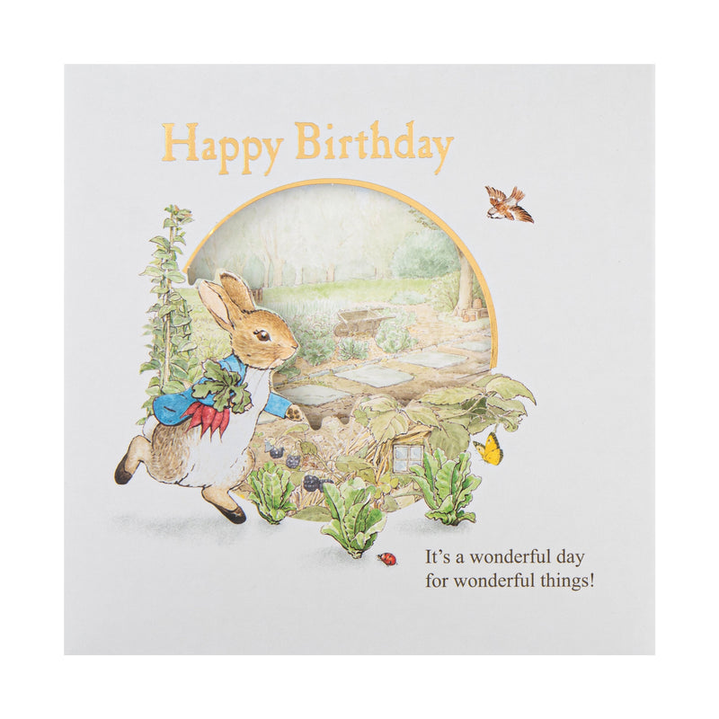 Kids Birthday Card - Beatrix Potter Peter Rabbit™ Design