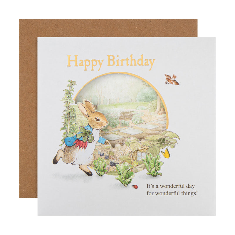 Kids Birthday Card - Beatrix Potter Peter Rabbit™ Design