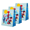 Any Occasion Large Gift Bag - Pack of 3 Spider-Man Design