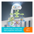 Fisher Price Nature Berries Mobile - Image