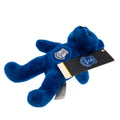 Everton FC Mini Bear, side angle