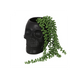 Black Skull Plant Pot