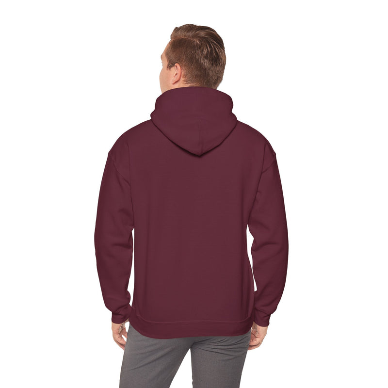 'Vinyl Records Are Groovy' Men's Hoodie, in display