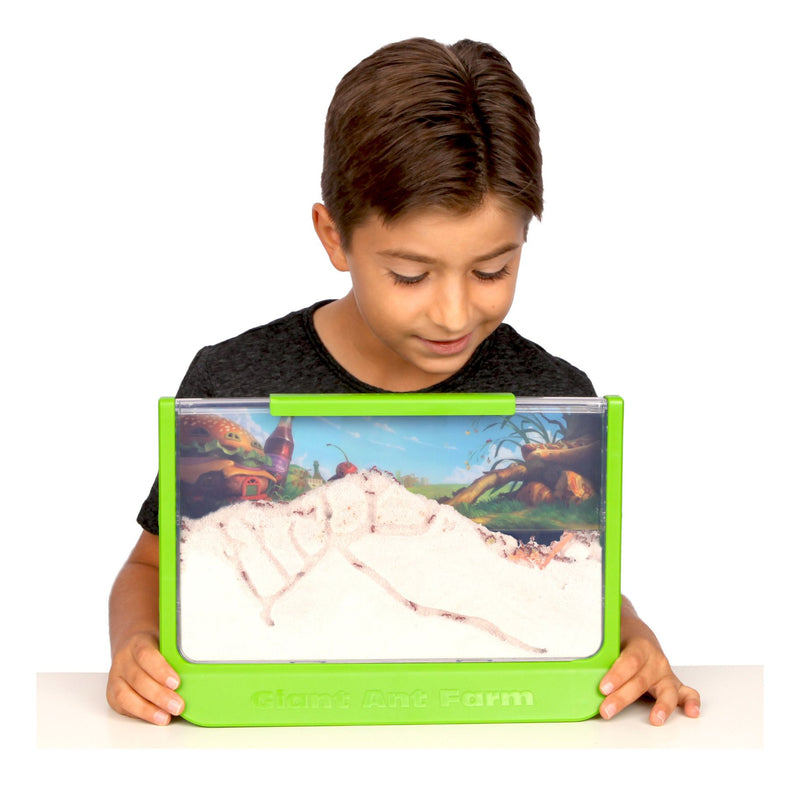 Uncle Milton Giant Ant Farm - Image