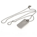 Liverpool FC Engraved Dog Tag & Chain LB, alternate view