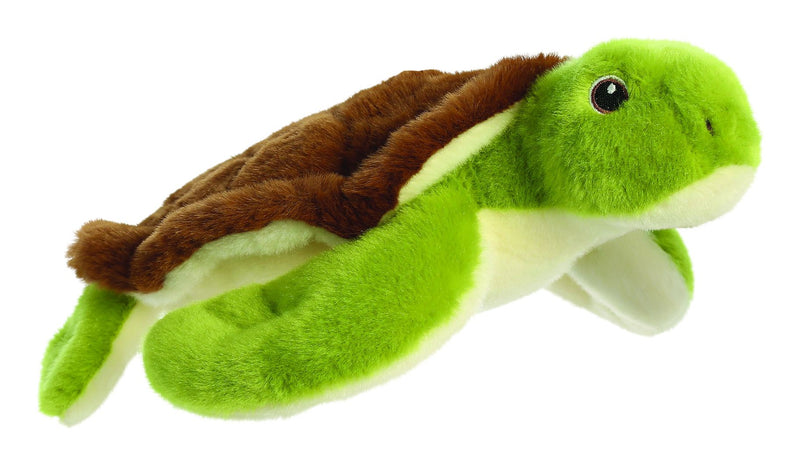 eco-nation-turtle-10-5