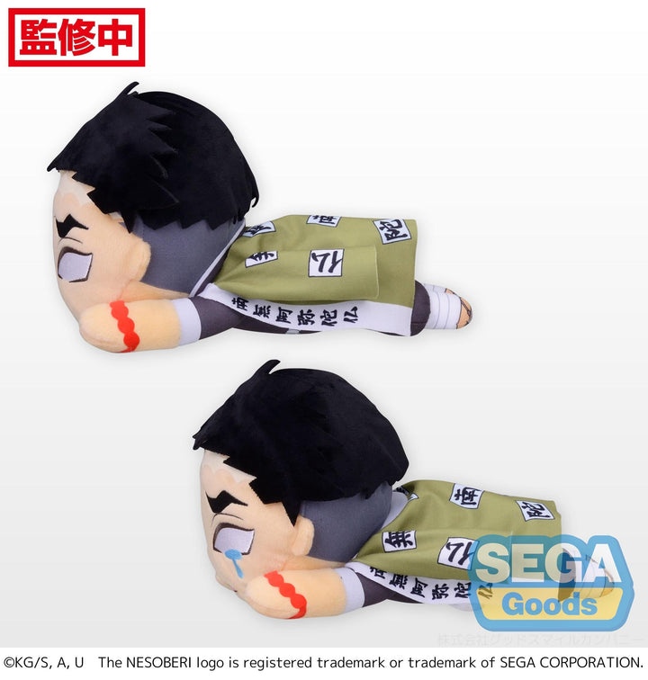 Furyu Gyomei Himejima Demon Slayer Kimetsu no Yaiba NESOBERI Lay-Down Plush