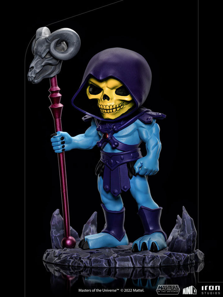 Masters of the Universe Skeletor Masters of the Universe Mini Co. Figure