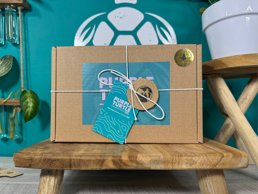 Plant Propagation Gift Set #4, alternate view