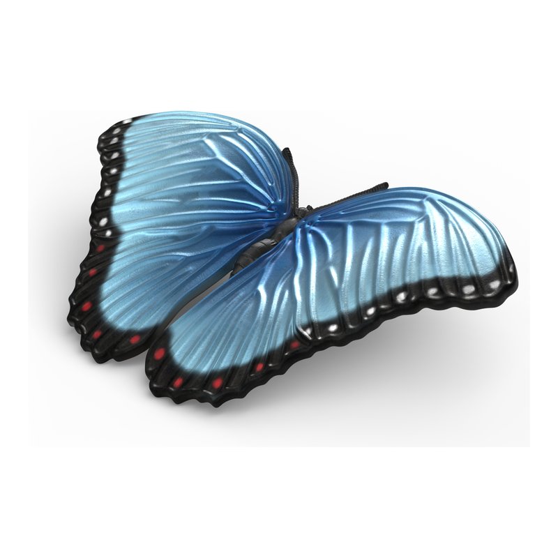 Schleich - Insects Discovery Set
