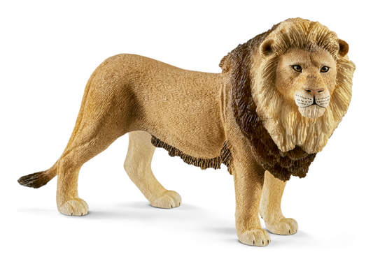 Schleich Lion