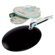 #116 U.S.S. Curry NCC-42254 Model Diecast Ship (Eaglemoss / Star Trek)