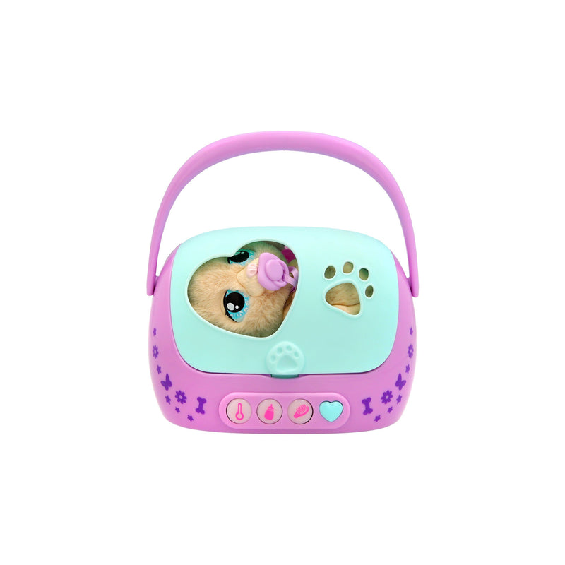 Baby Paws - Just Born - Puppy - Image