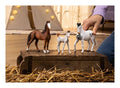 Schleich - Marwari Foal - Image