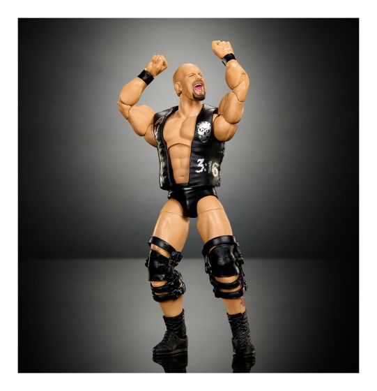 WWE SummerSlam Stone Cold Steve Austin Action Figure