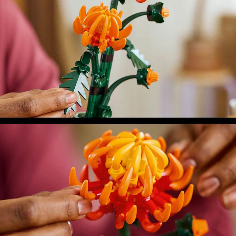 Lego Botanicals 10368 Chrysanthemum Model Set for Adults Ages 18 & Up, rear view