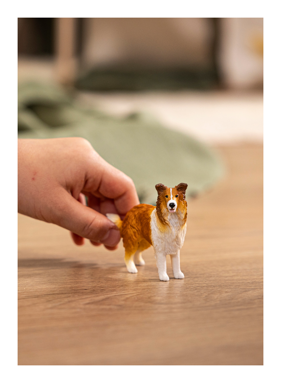 Schleich - Collie - Image