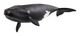 Schleich North Atlantic Right Whale