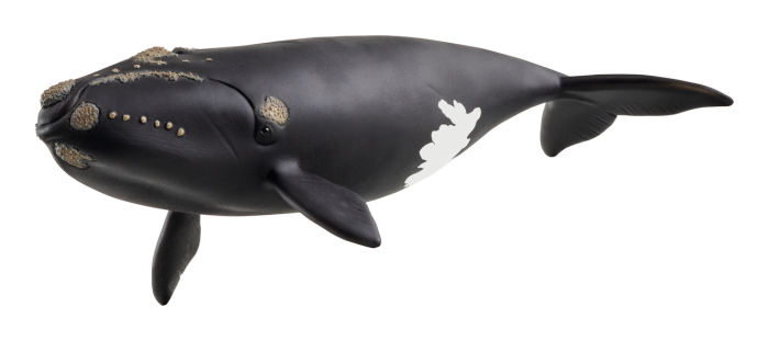 Schleich North Atlantic Right Whale