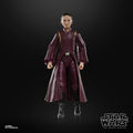 Padmé Amidala Collectible from Star Wars Black Series, packaging shot