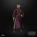 Padmé Amidala Collectible from Star Wars Black Series, size reference