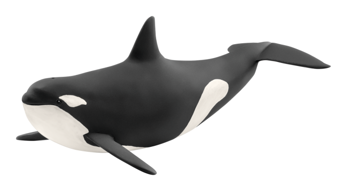 Schleich Killer Whale