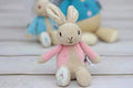 Peter Rabbit & Flopsy Bunny Bean Rattles, close-up detail