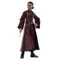 Padmé Amidala Collectible from Star Wars Black Series, alternate view