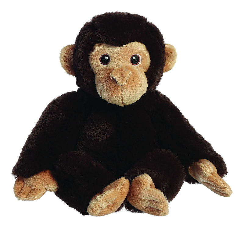 eco-nation-chimpanzee-9-5