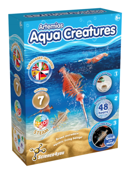 Aqua Creatures Grow Your Own Water Dragons Kit