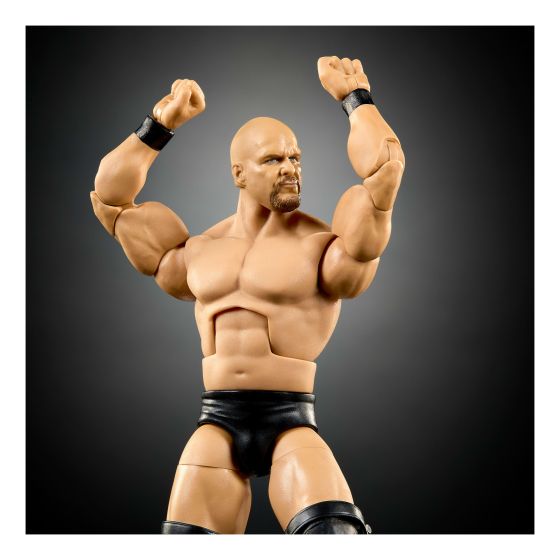 WWE SummerSlam Stone Cold Steve Austin Action Figure