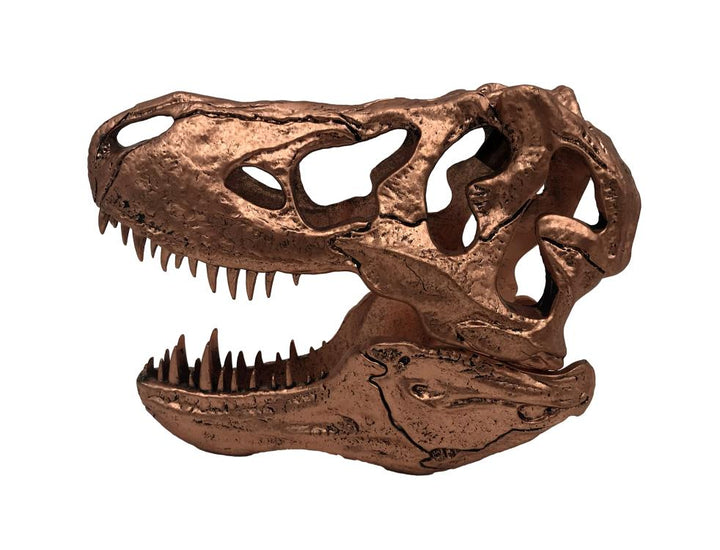 Jurassic Park T-Rex Skull Scaled Prop Replica