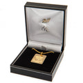 Liverpool FC Gold Plated Dog Tag & Chain, side angle