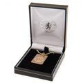 Chelsea FC Gold Plated Dog Tag & Chain, side angle