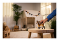 Schleich - Mule - Image